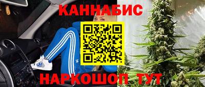 крисы Малоярославец