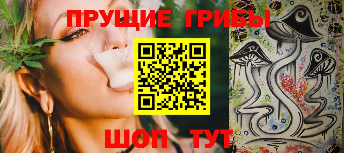 Псилоцибиновые грибы MAGIC MUSHROOMS  Псилоцибиновые грибы GOLDEN TEACHER  Вход с VPN  Россошь 